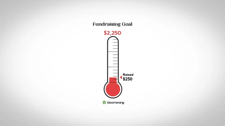 Progress in the Library Expansion Fund